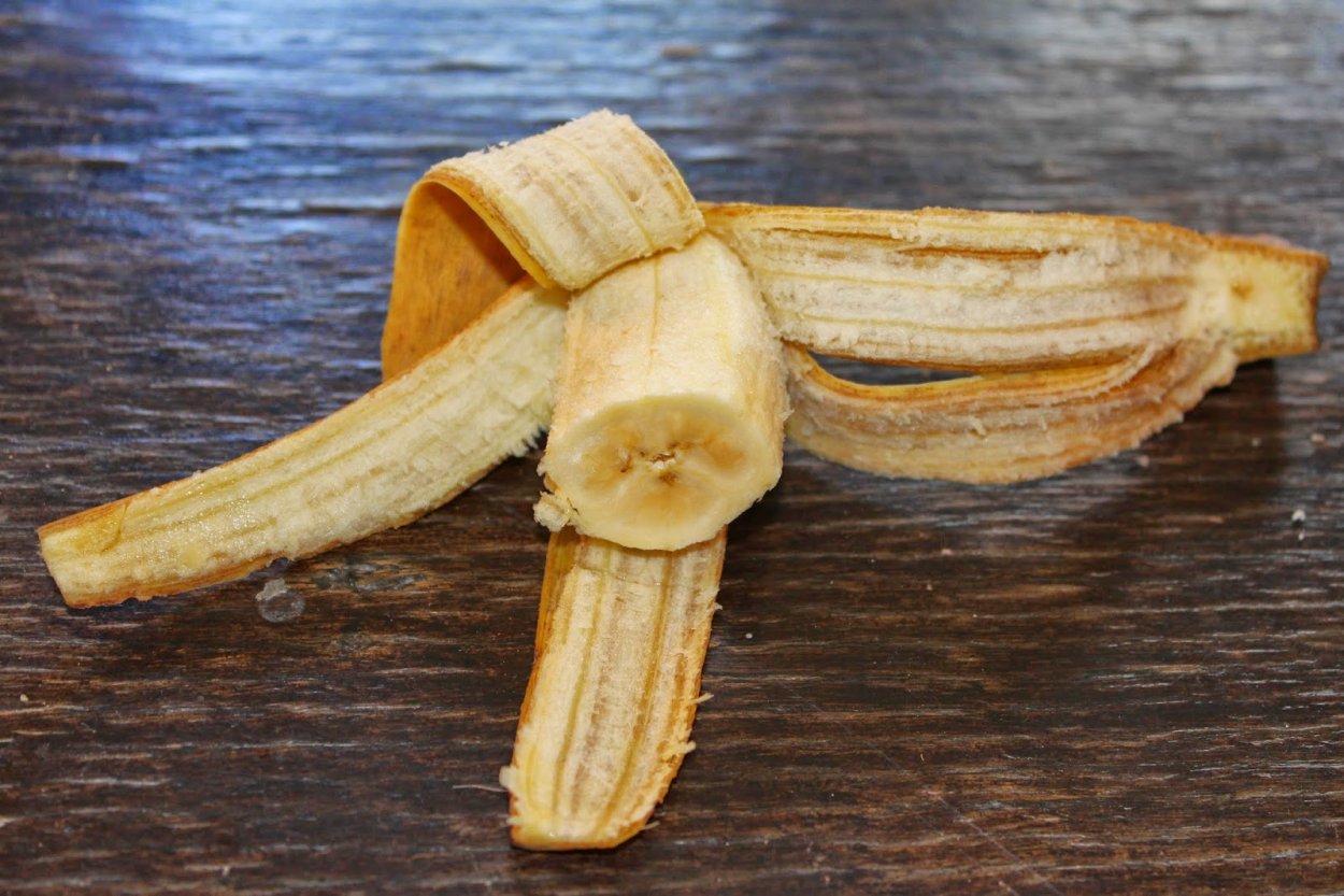 Дикий банан