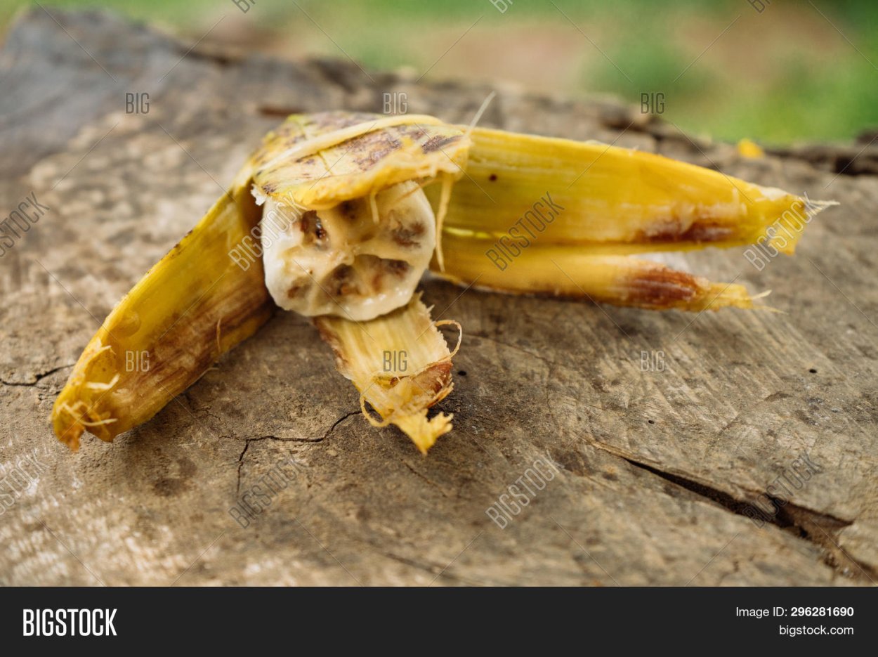 Банан Бальбиса семена