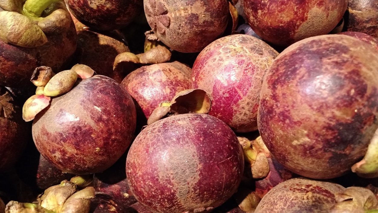 Фиолетовый экзотический фрукт