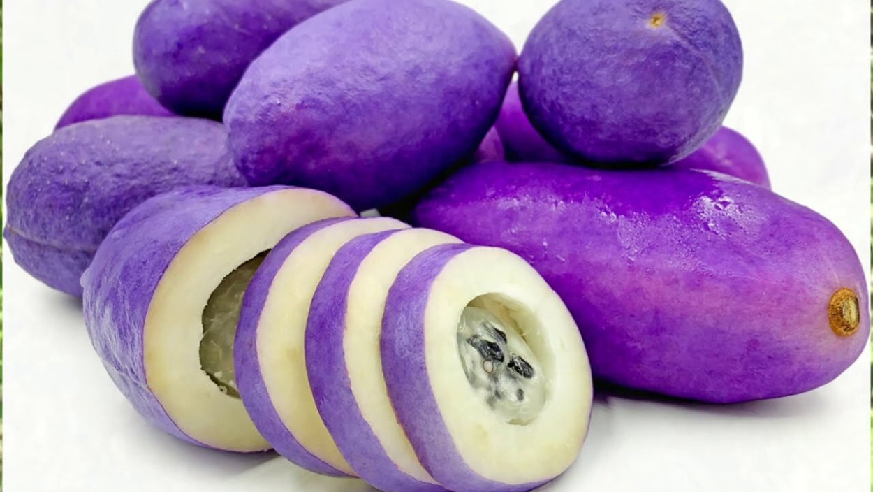 Японская Акебия фрукт