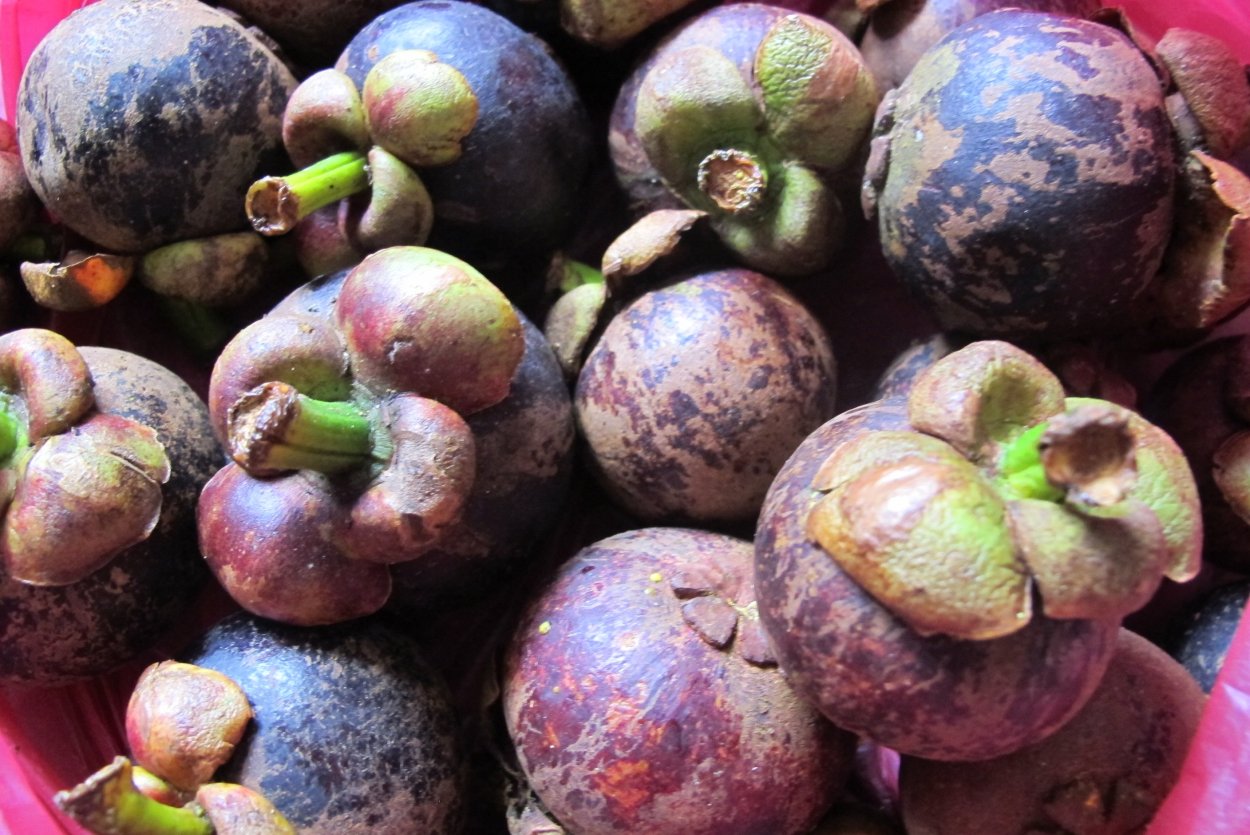 Перпл фрукт