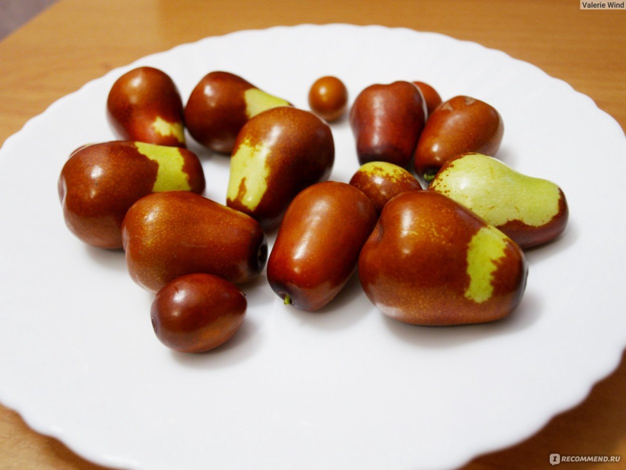 Унаби Росток фото