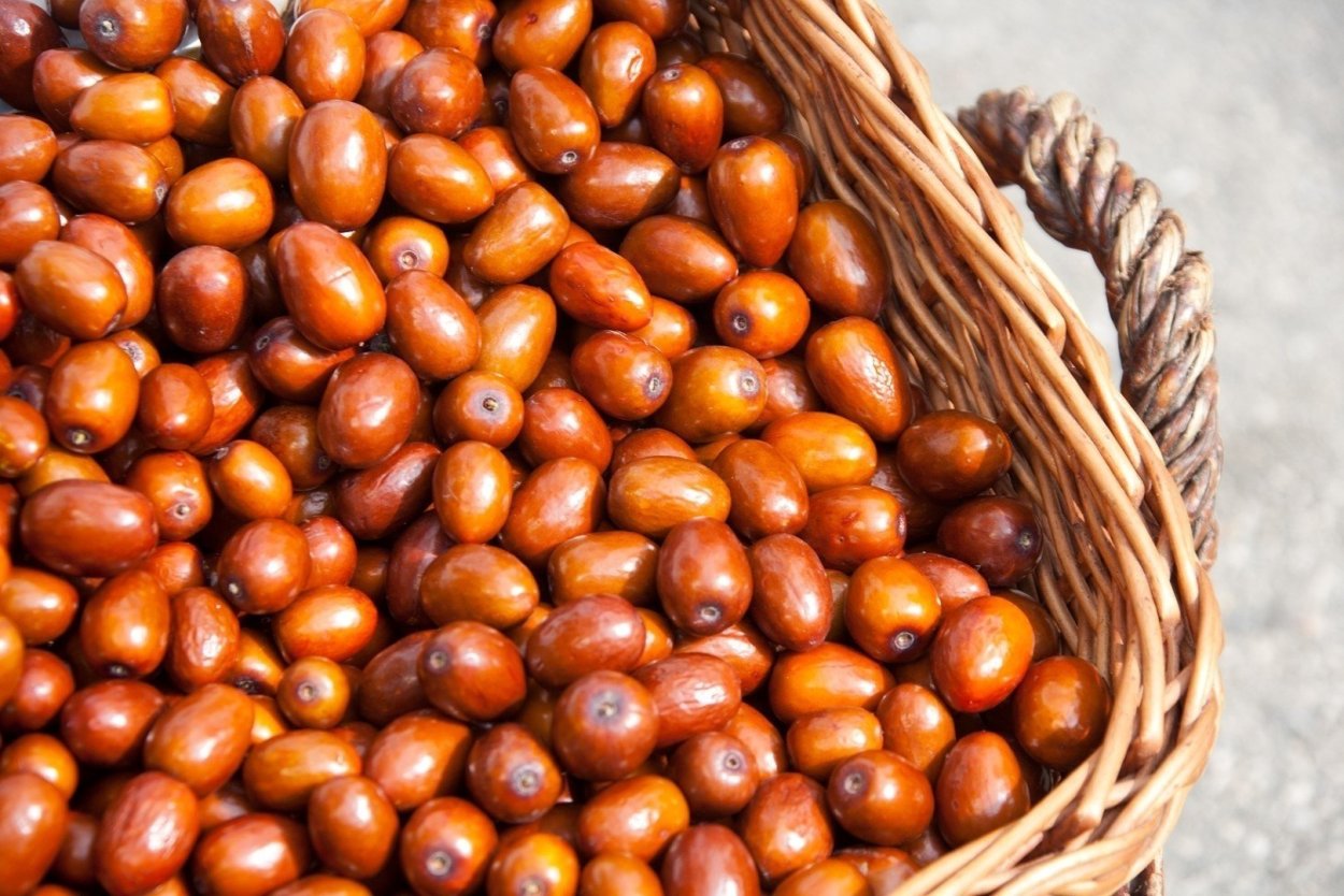 Джигда фрукт