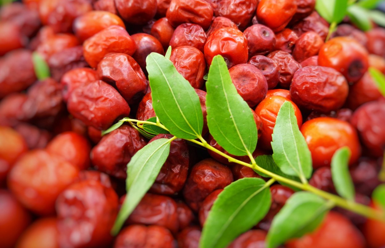 Чай Зизифус