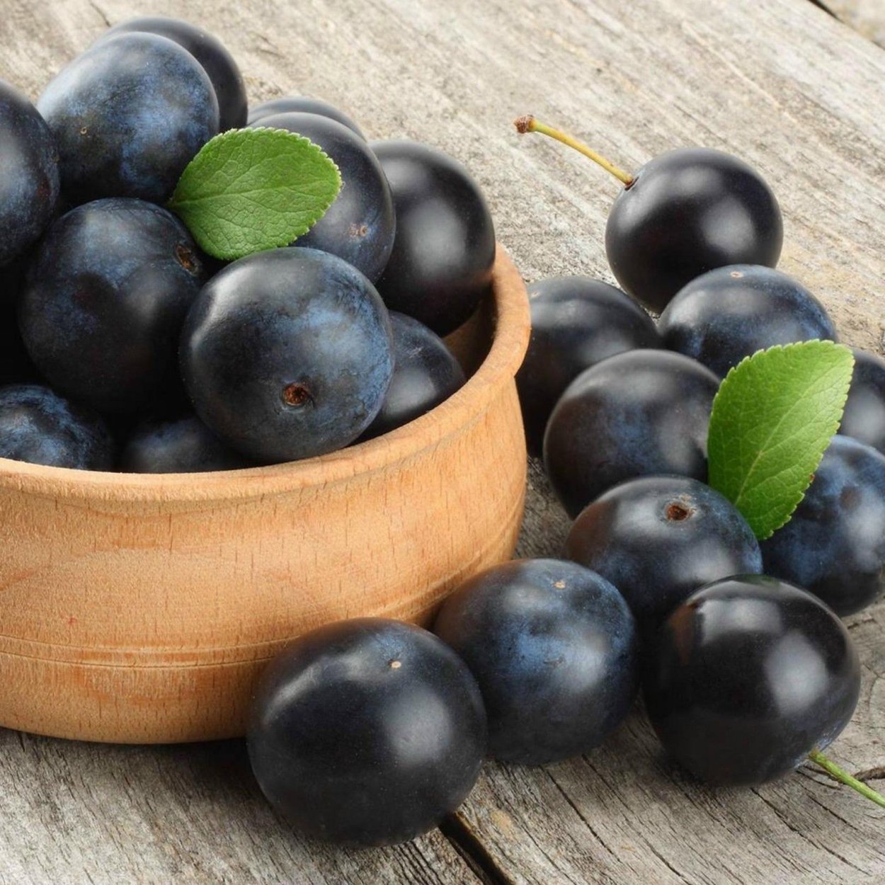 Тёрн зелёная ягода