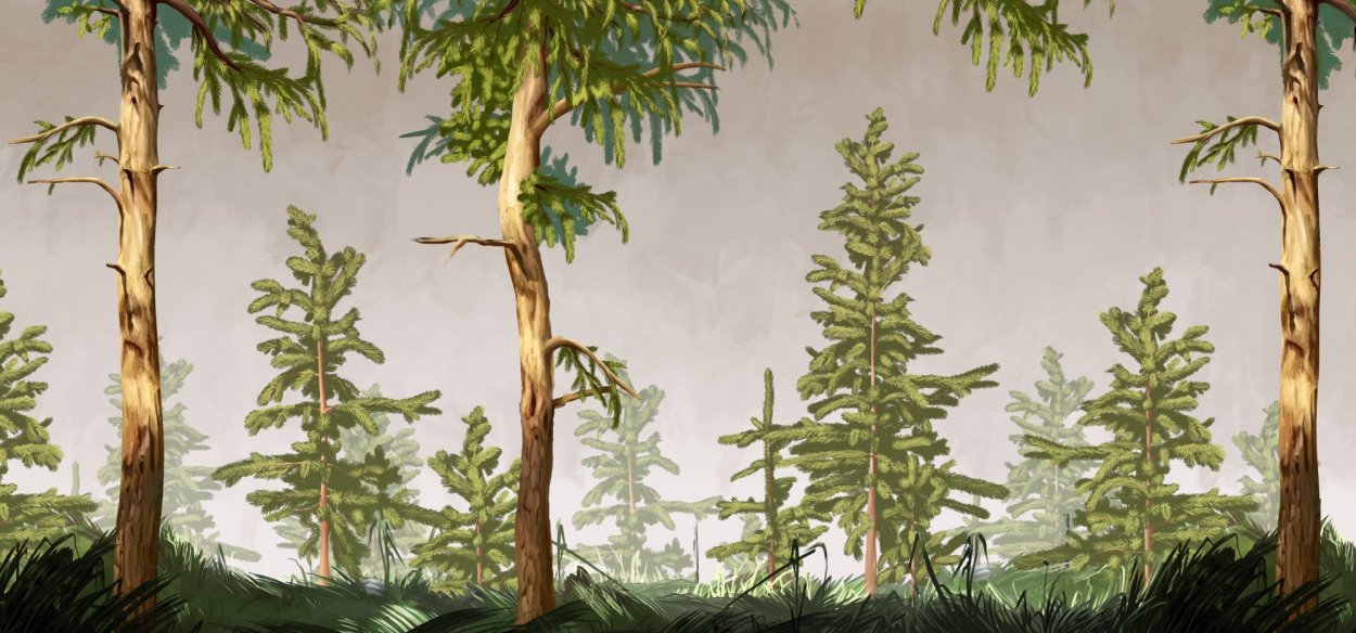 Обои с соснами для стен