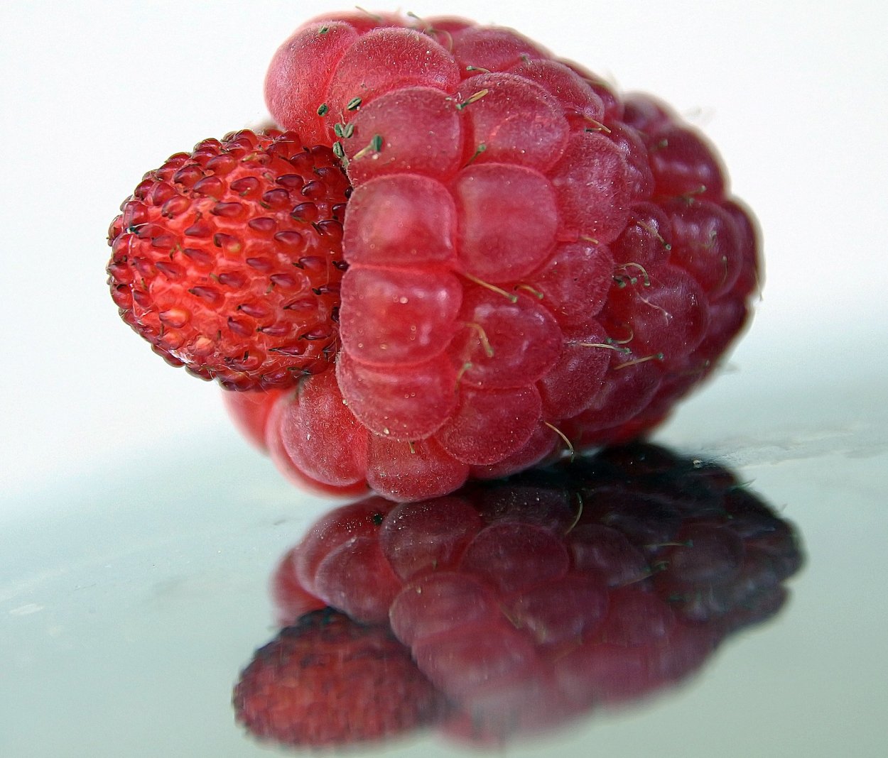 Малина скрещенная с клубникой