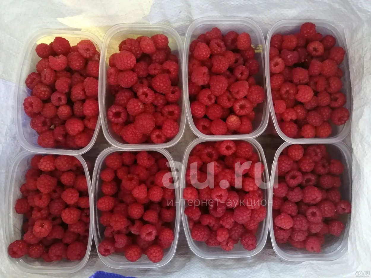 Ягода Красноярска