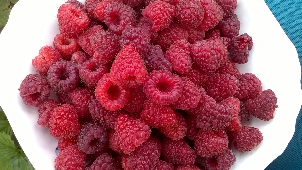 Малина малинник клубника