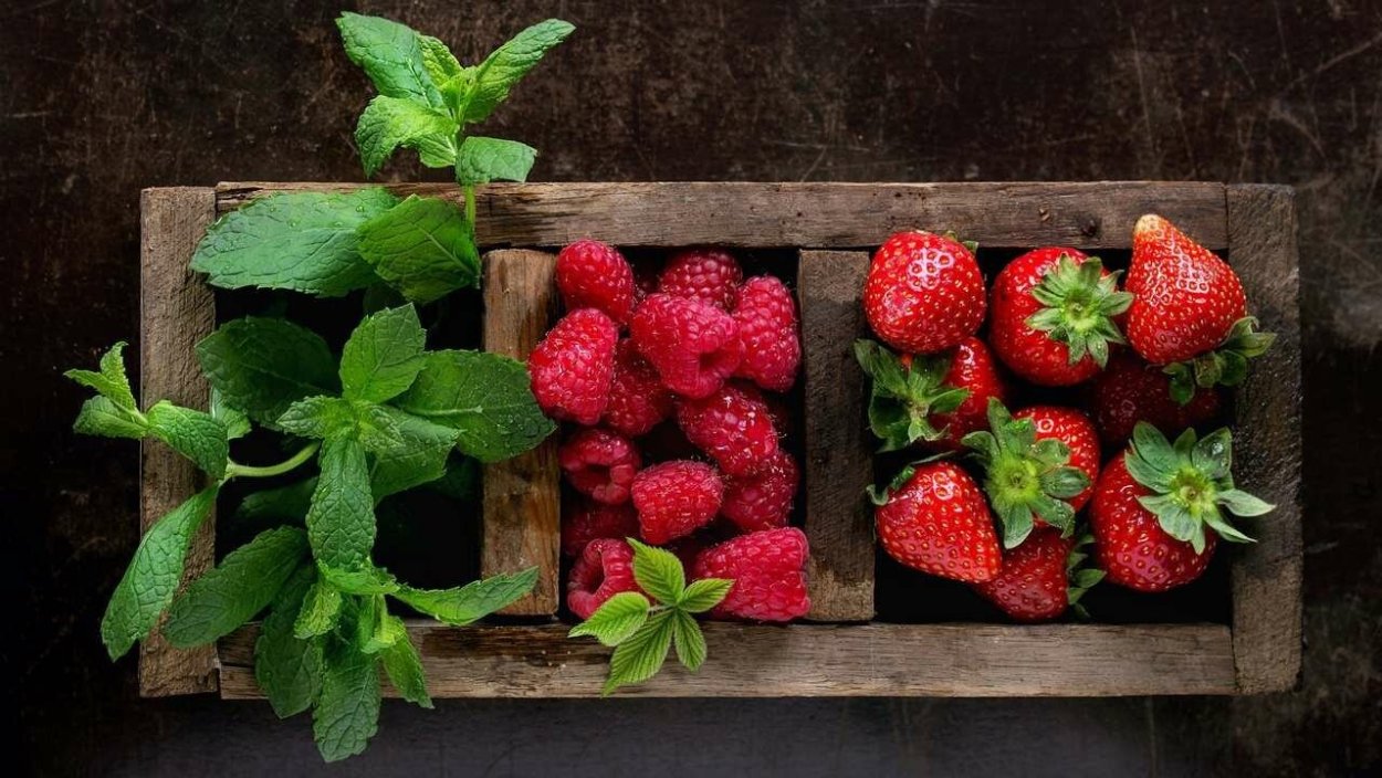 Клубника малина земляника
