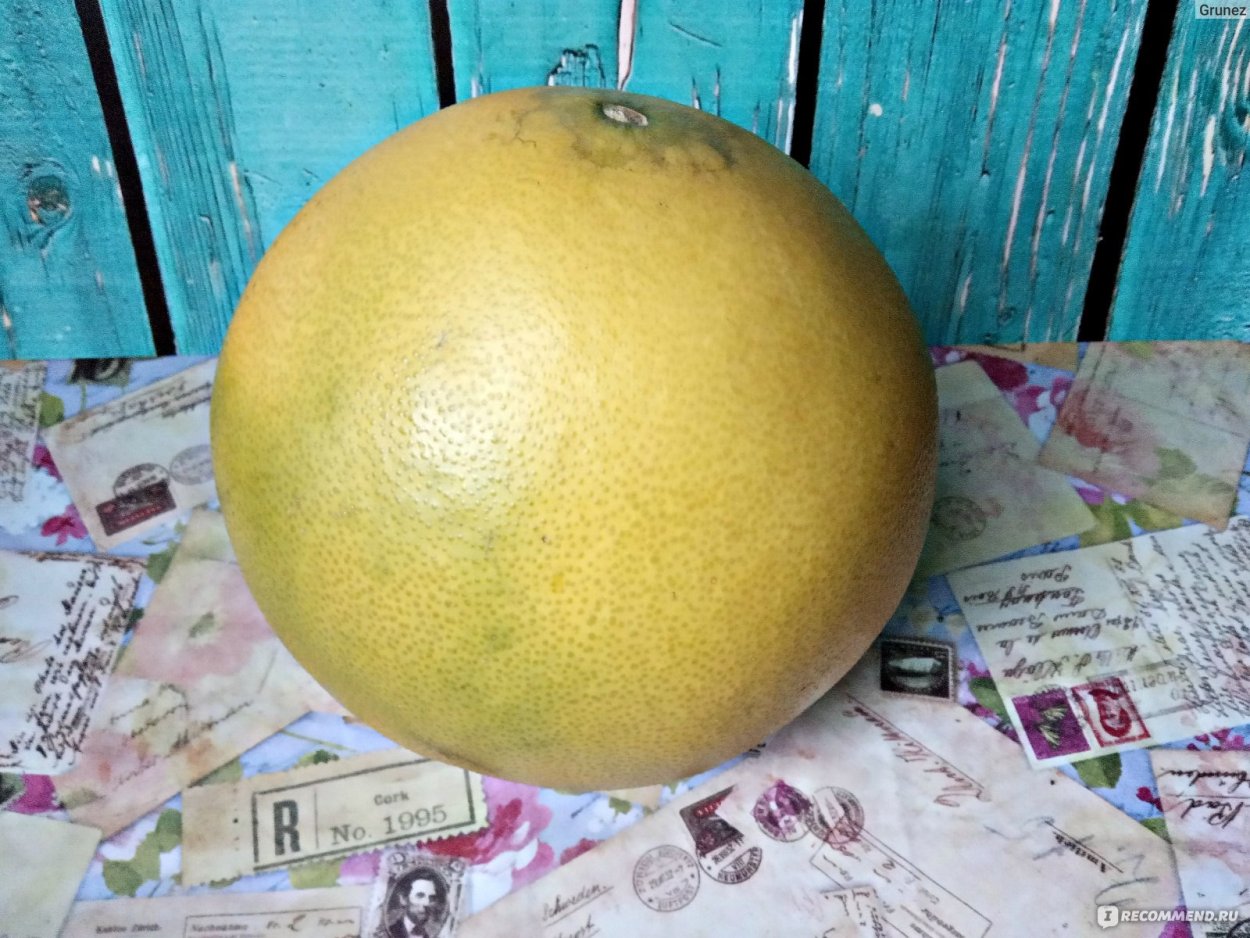 Самое большое помело