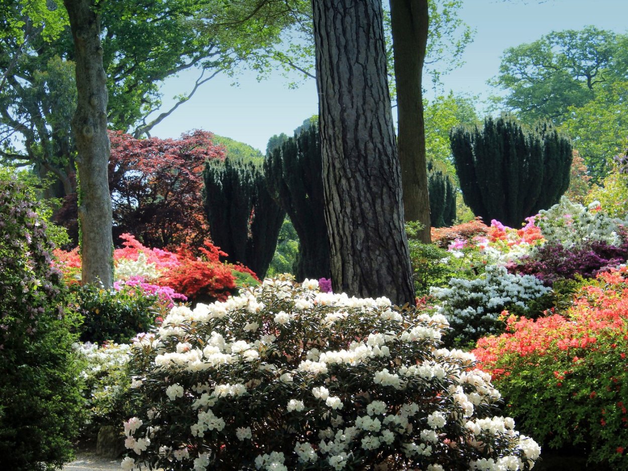 Сад Боднант в Великобритании