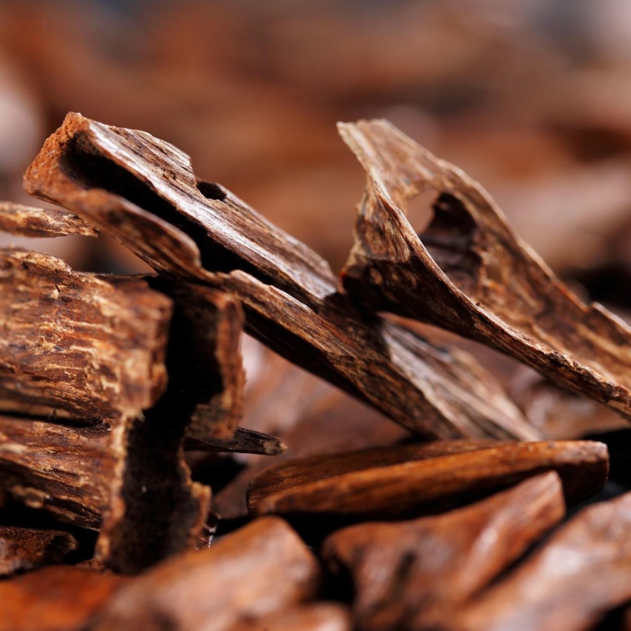 Удовое дерево аромат