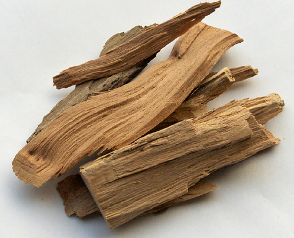 Сантал дерево