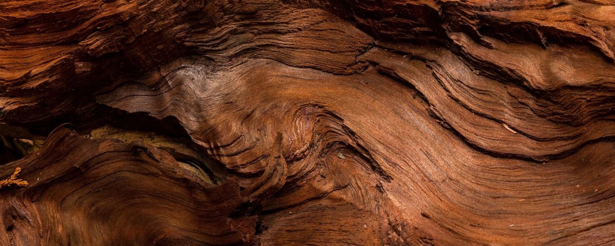 Фактура дорогого дерева