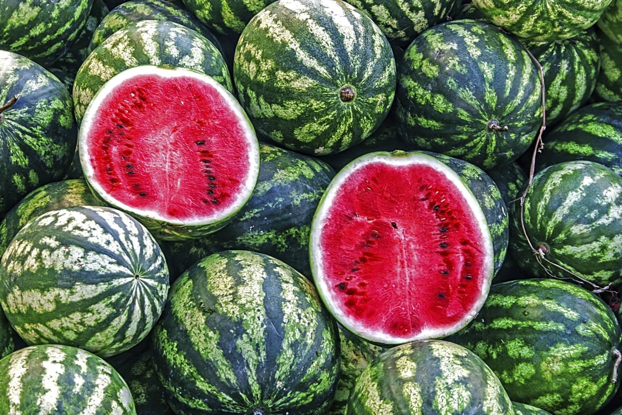 Астраханский продолговатый Арбуз