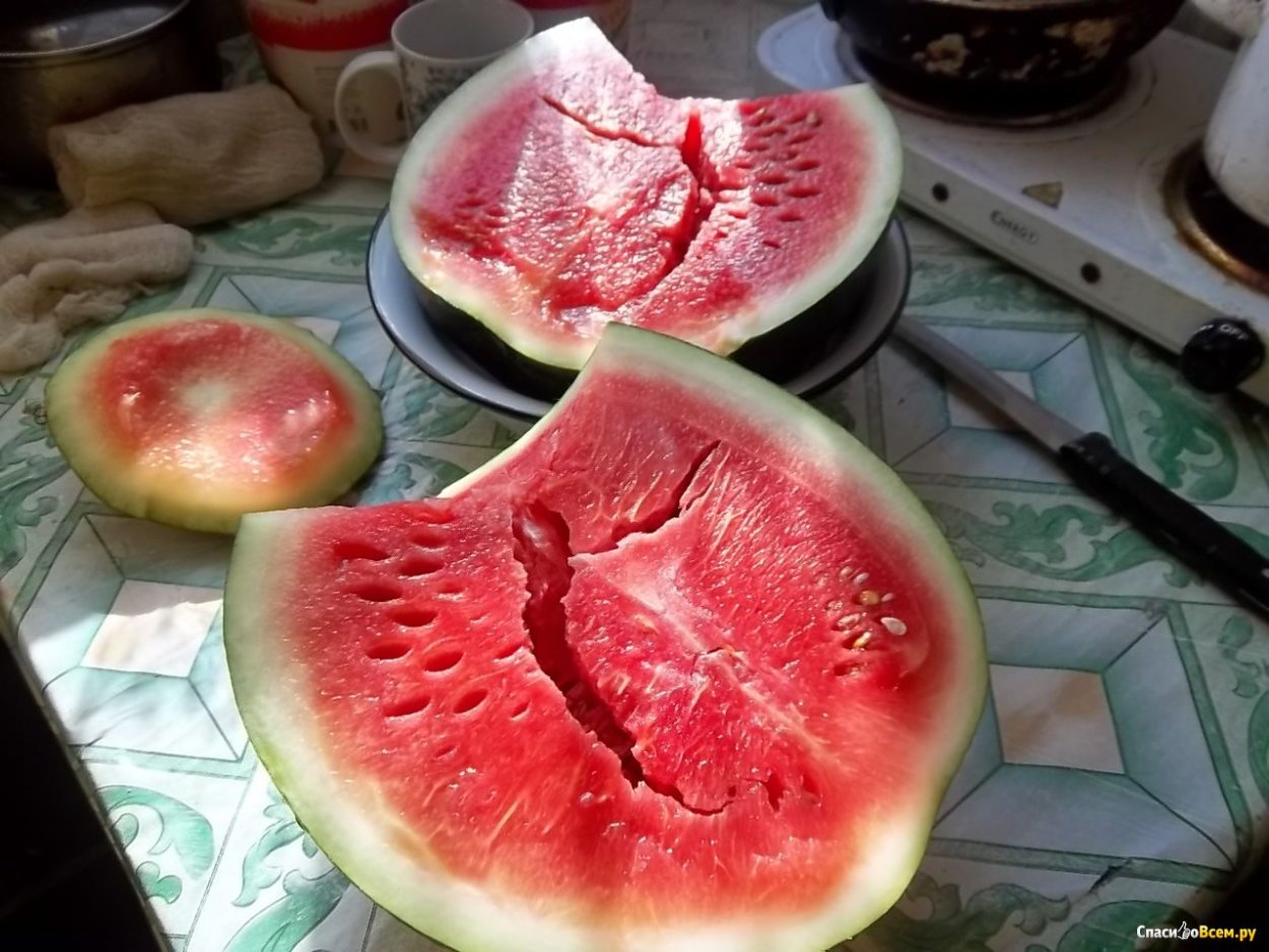 Арбуз в разрезе