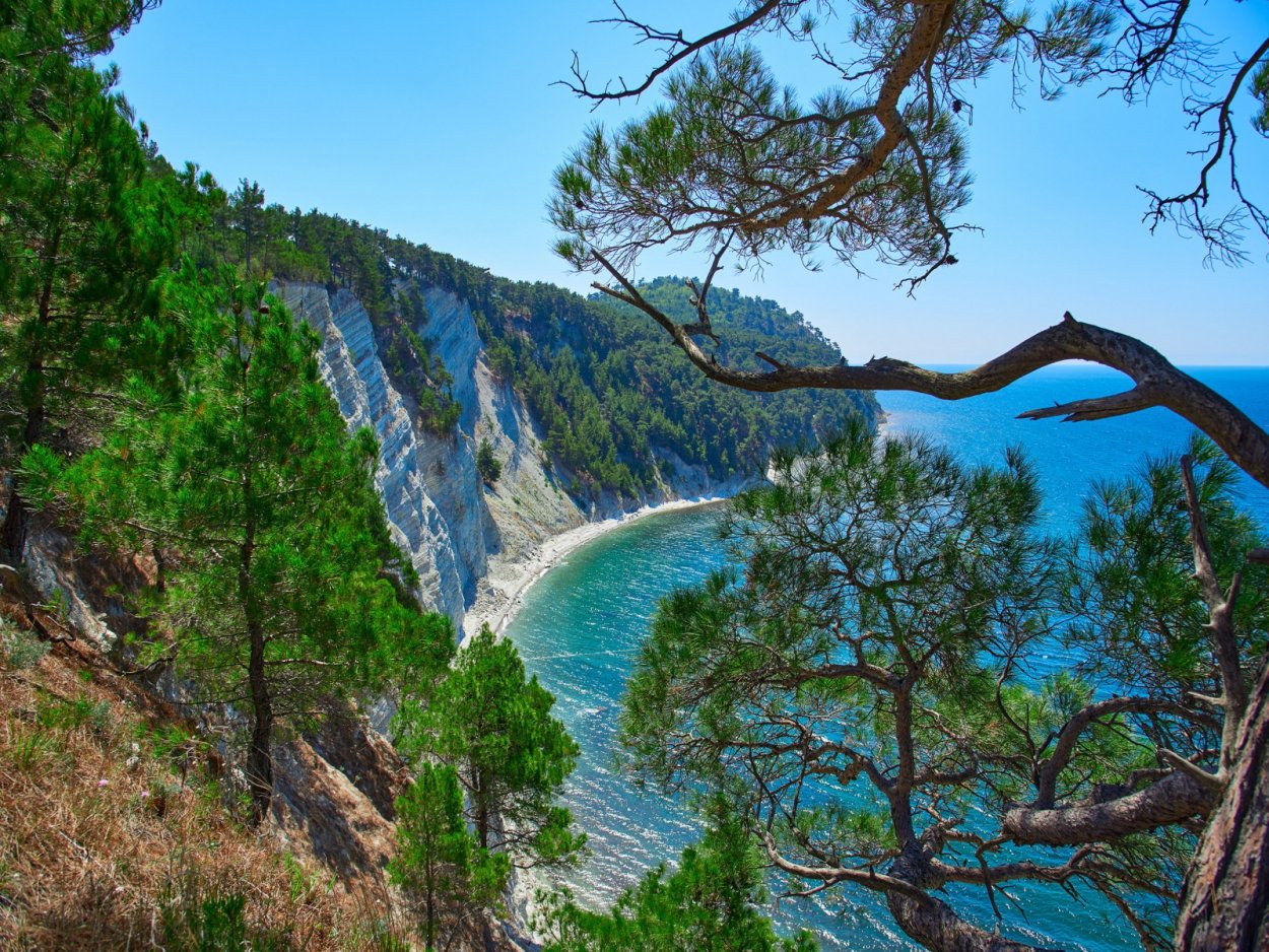 Пицунда заповедник