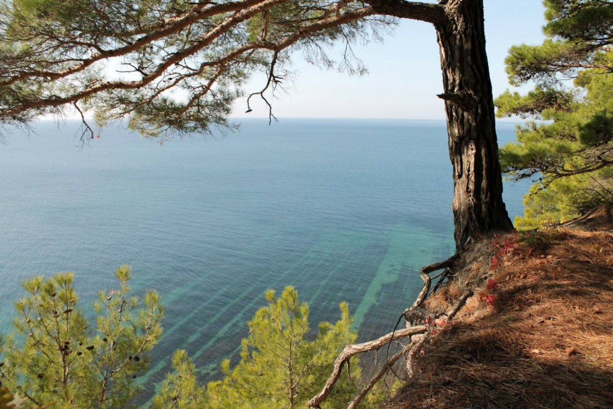 Природа Геленджикского района