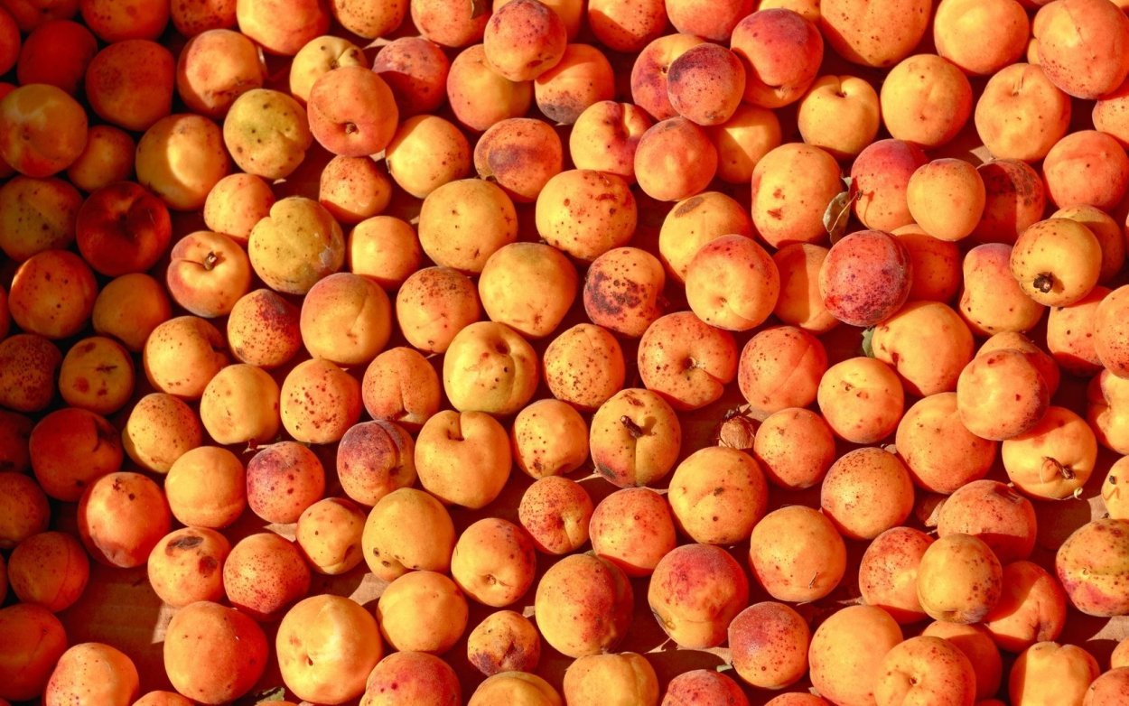 Много абрикосов