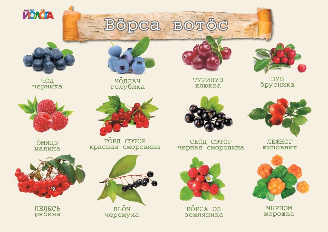 Названия ягод на Коми языке