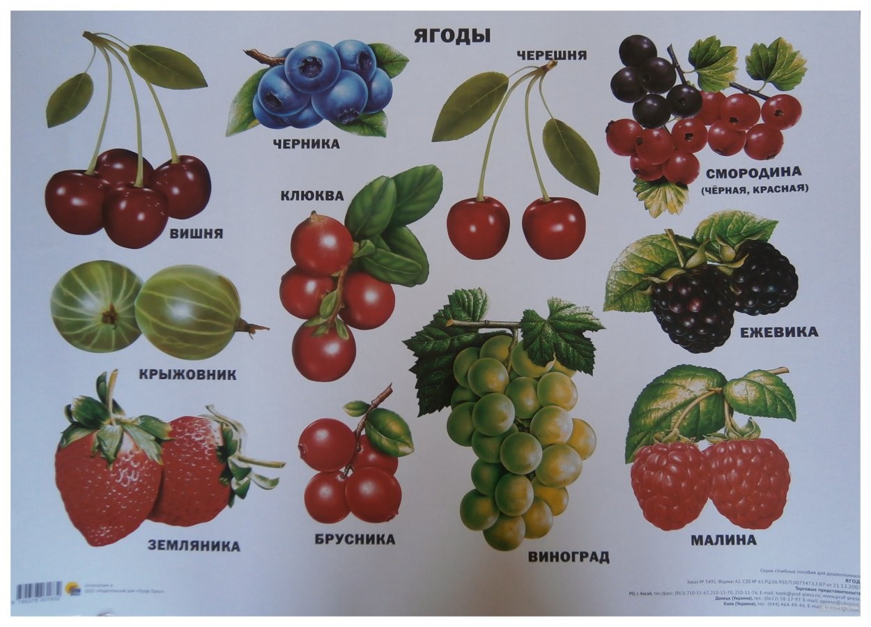 Ягоды названия