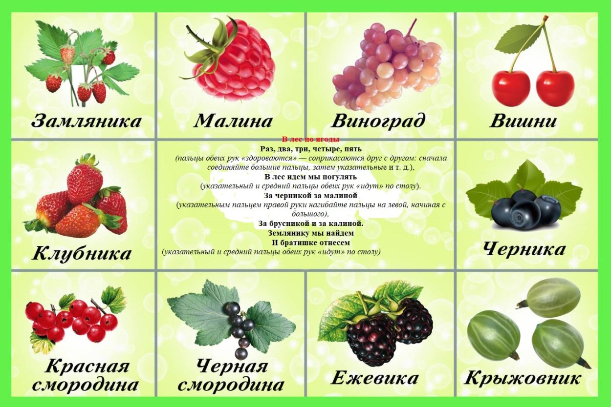Ягоды карточки для детей с названиями