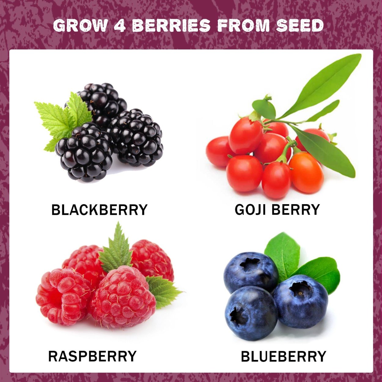 Kinds of Berries