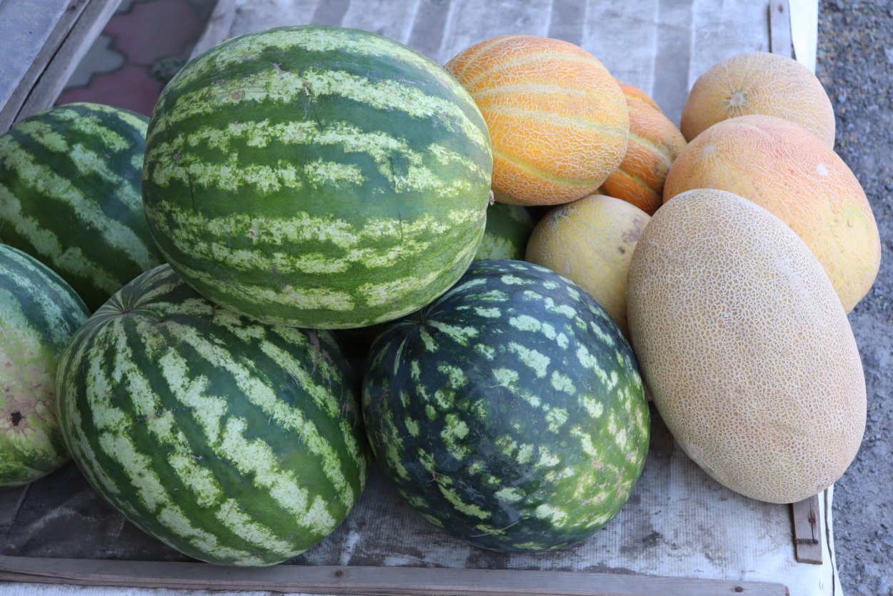 Арбуз и дыня в магазине