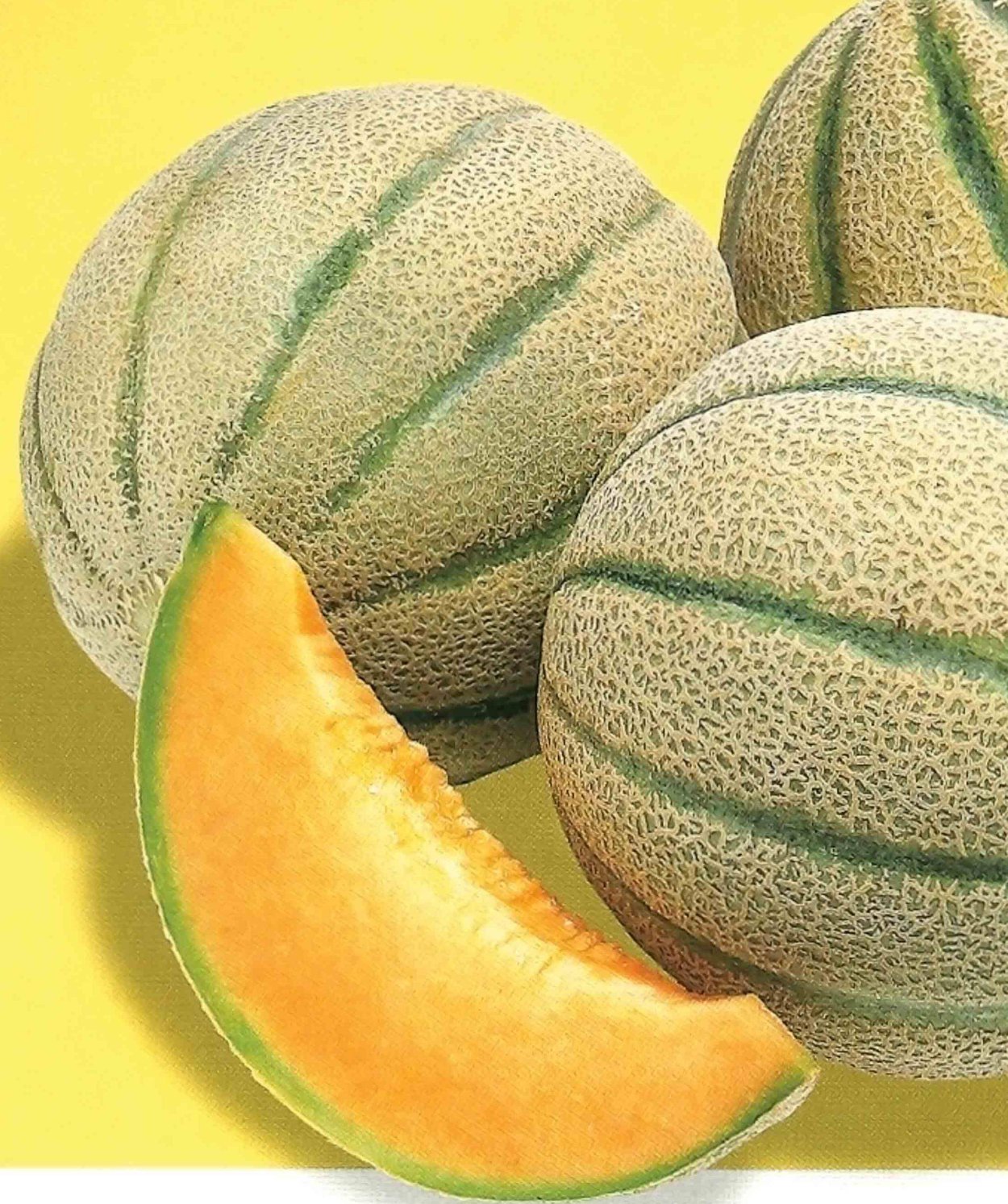 Дыня f1 канталупа