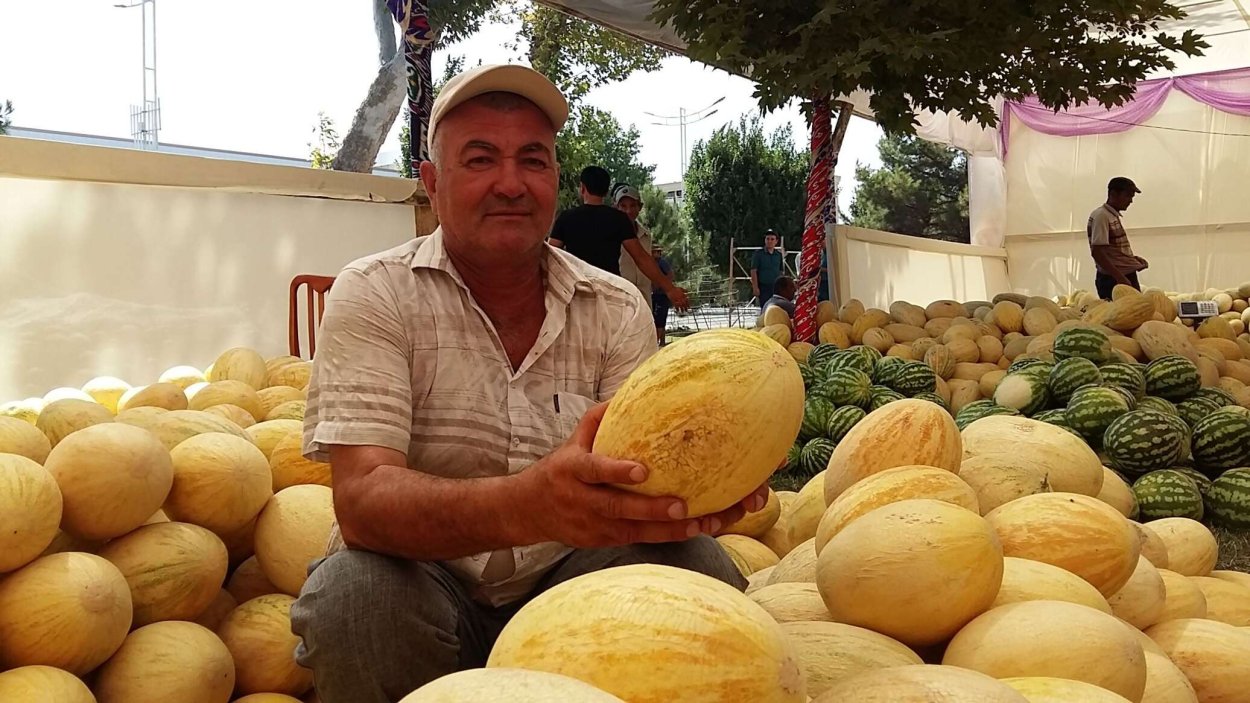 Дыня Бухара