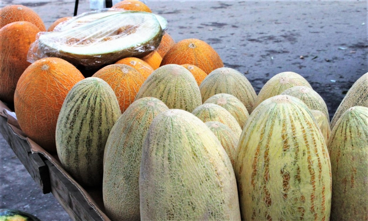 Листья дыни