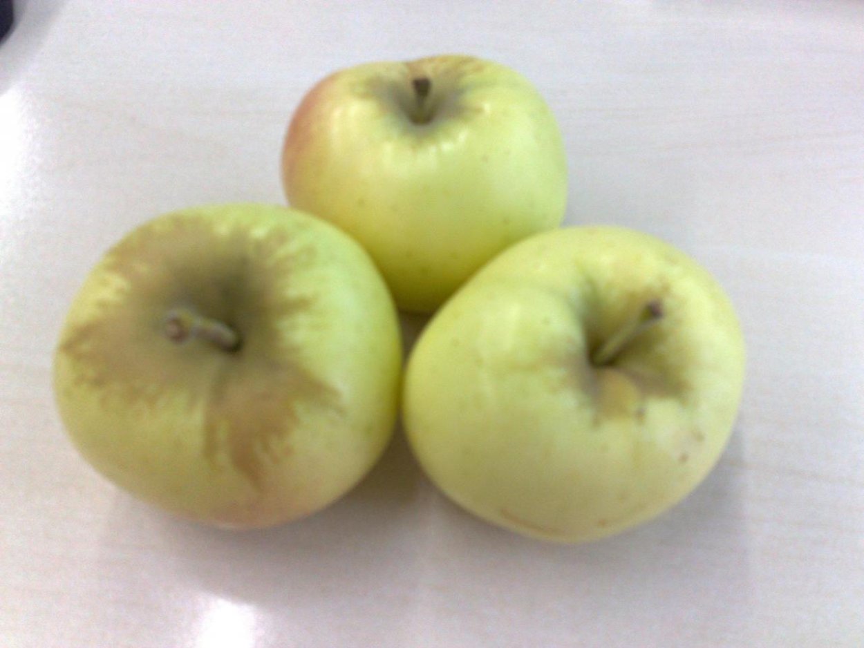 Яблоко Лимонка Алма-Атинская