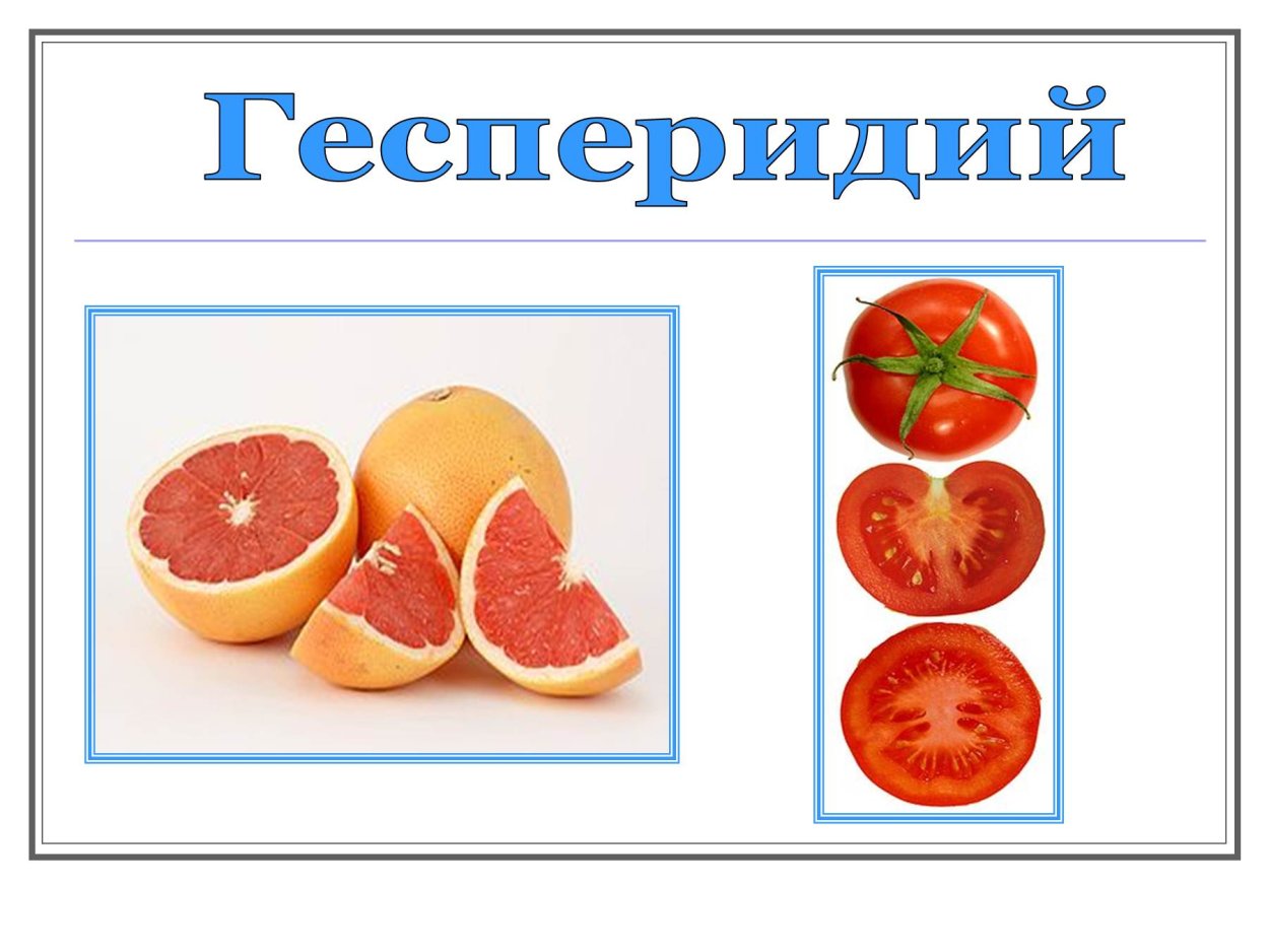 Померанец плод