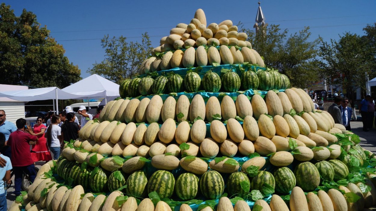 Фергана Долина бахча