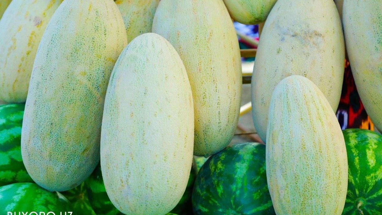 Бухарские дыни