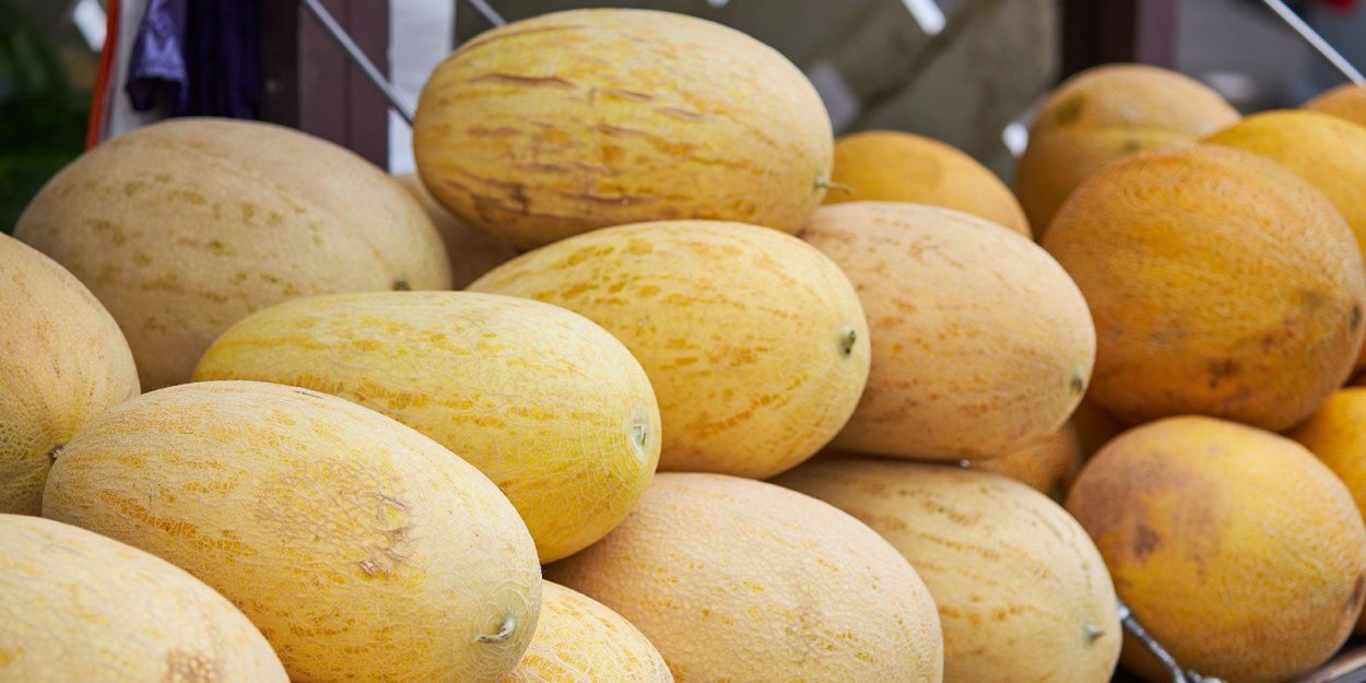 Дыня туркменка