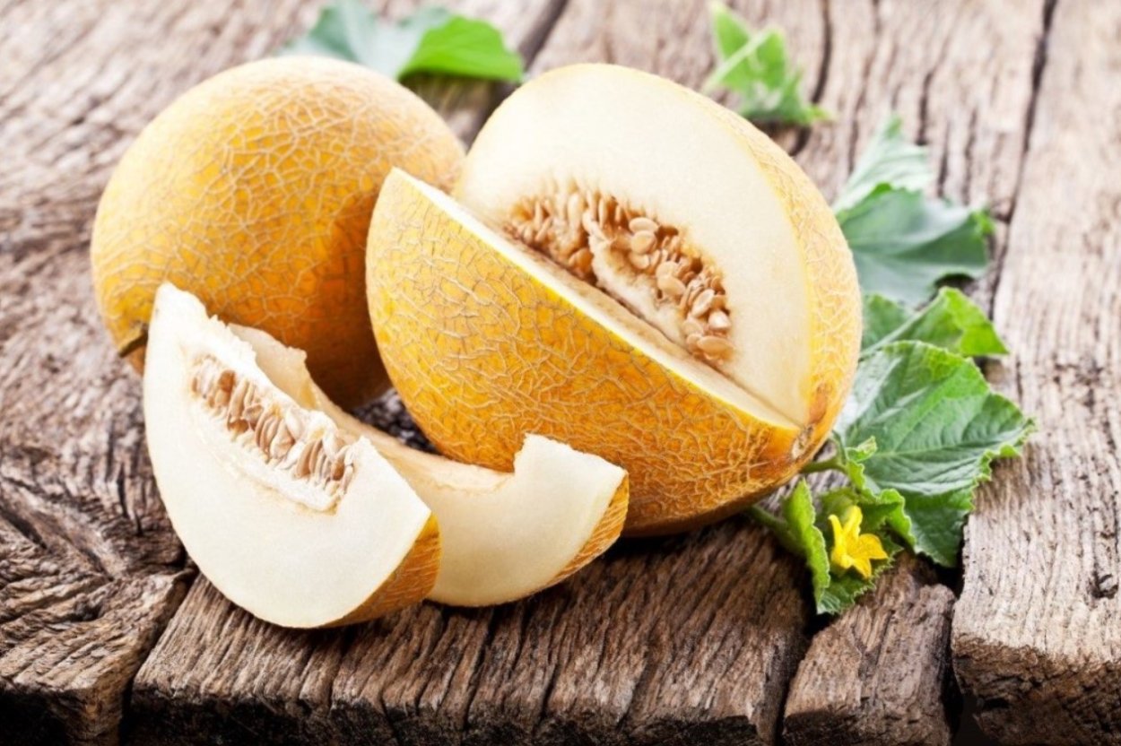 Дыня Гуляби