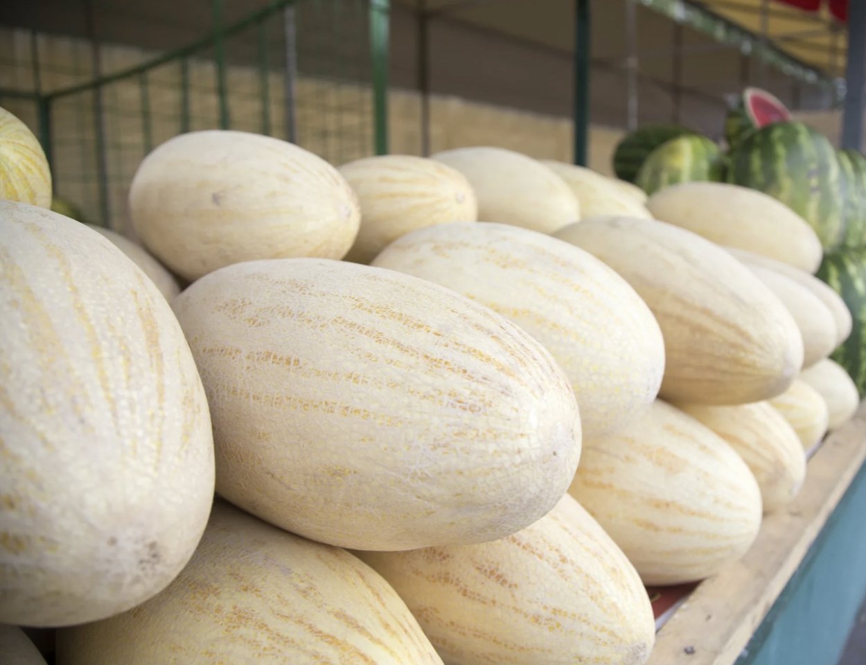 Семена дыня торпеда