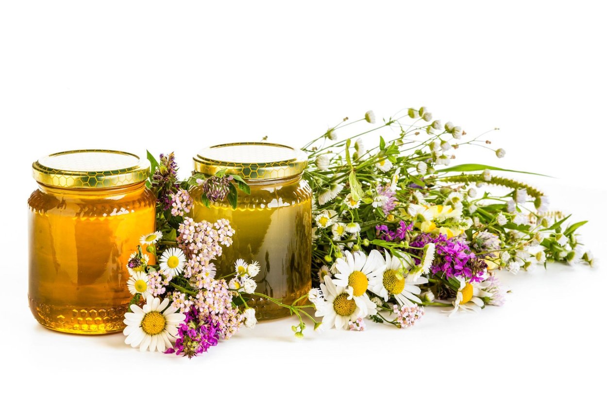 Мед и цветы