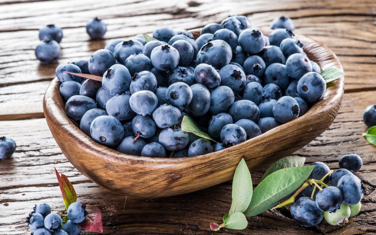 Палитра голубика черника