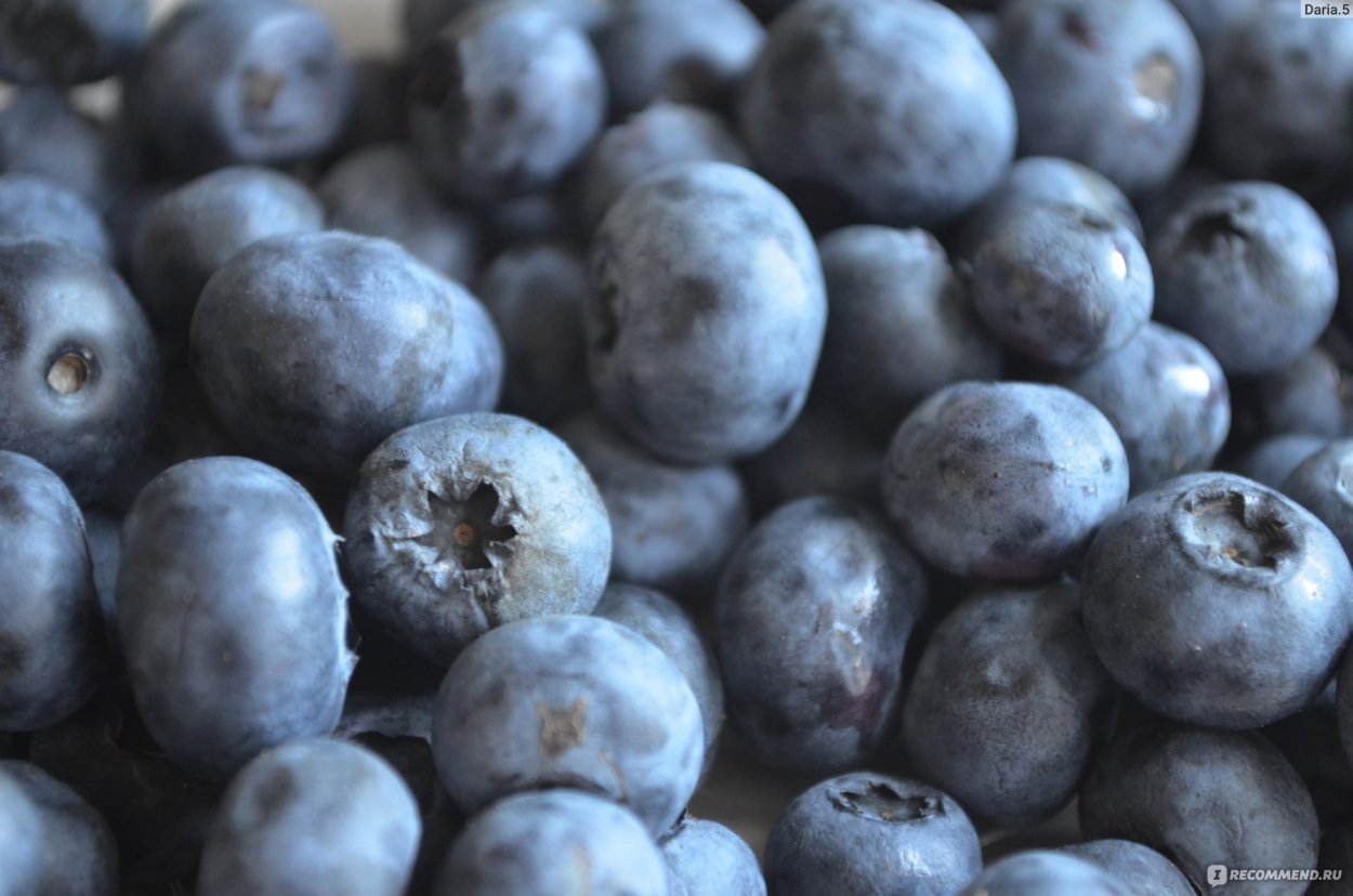 Golubika_an Инстаграм