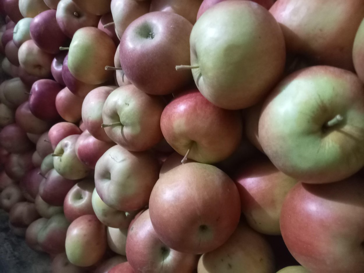 Купить яблоки в Тульской области