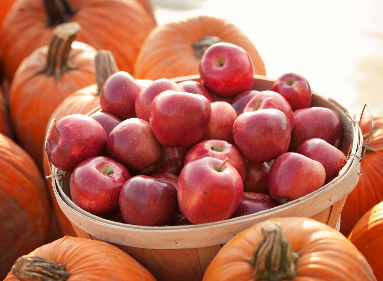 Яблоки импортные