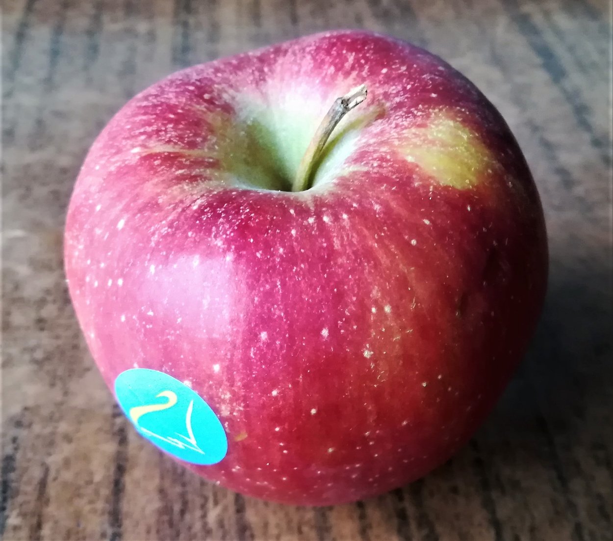 Сорт яблок макинтош