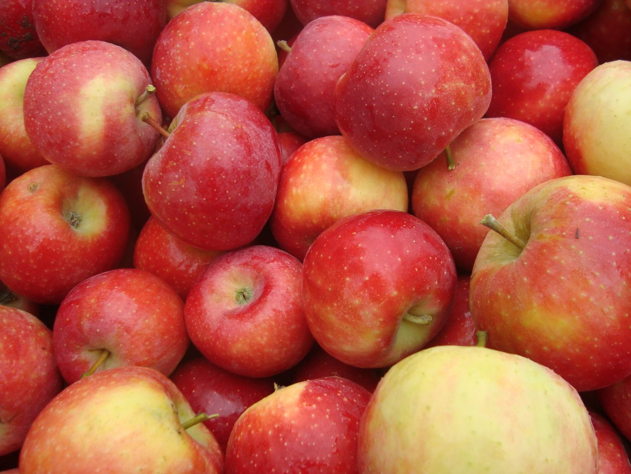 Ред Бребурн яблоня