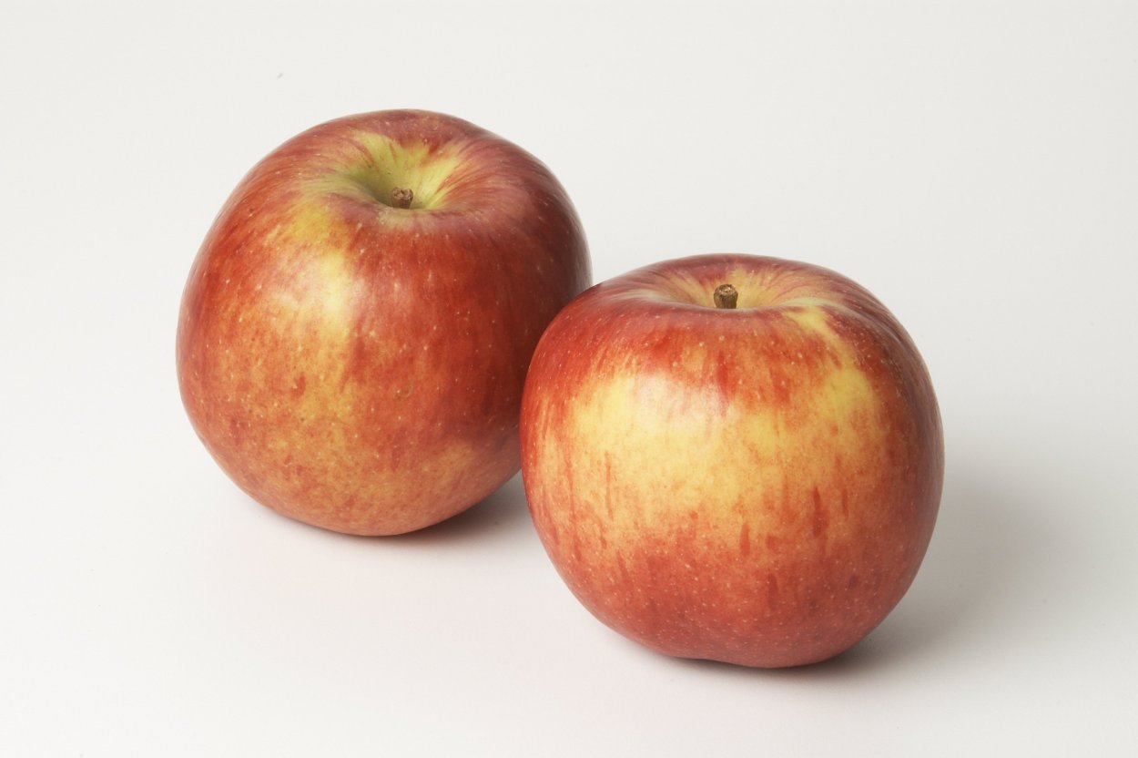 Сорт яблок Бребурн