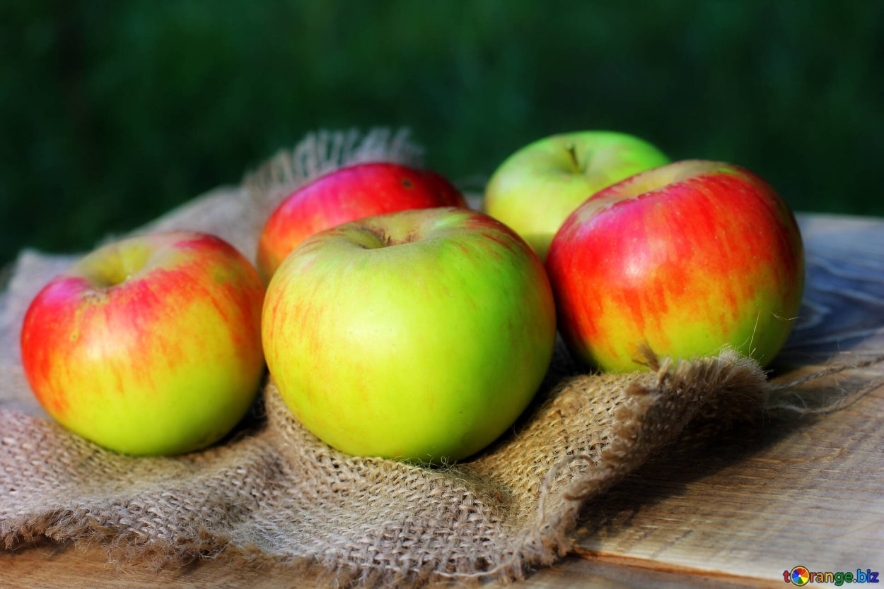 Польские яблоки