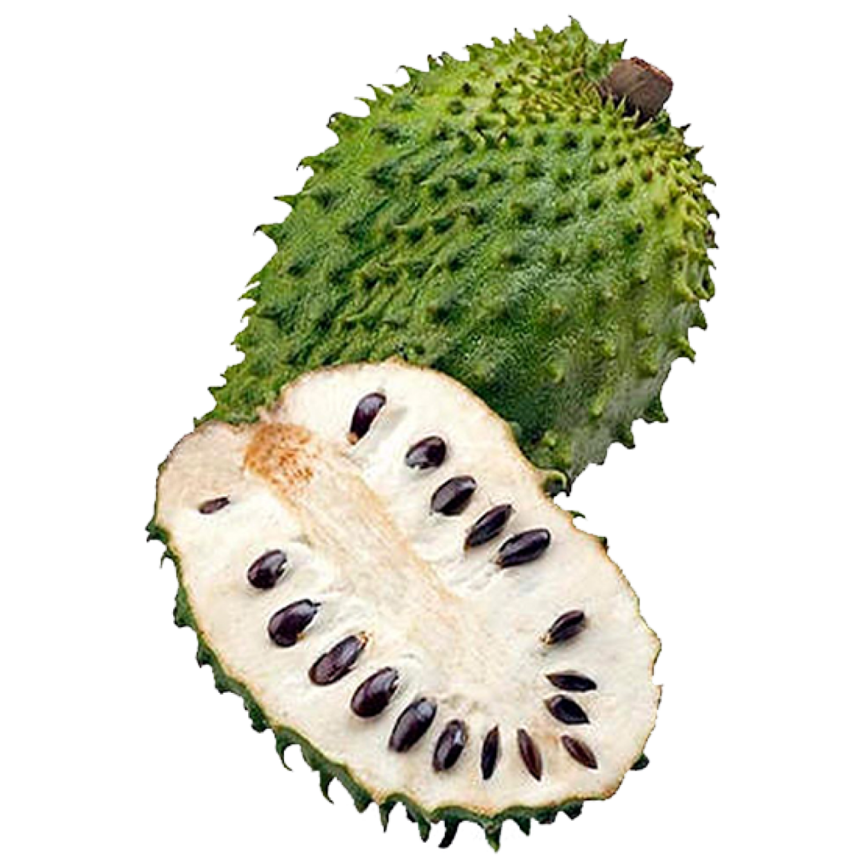 Саусеп гуанабана