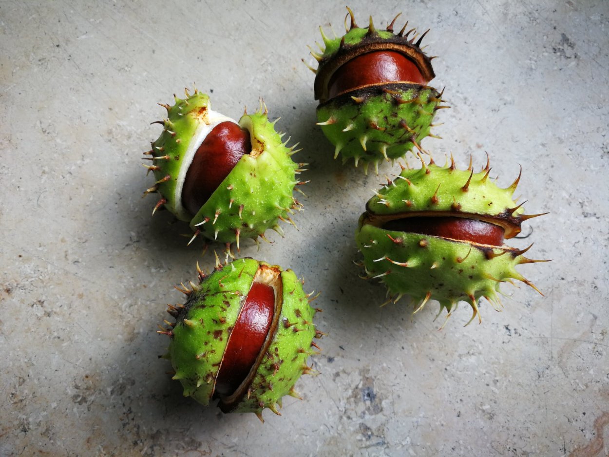 Фрукты Тайланда в колючках